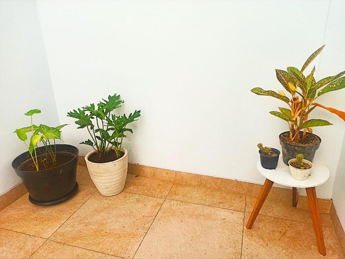 Loka Anyar Guest House ケロボカン エクステリア 写真